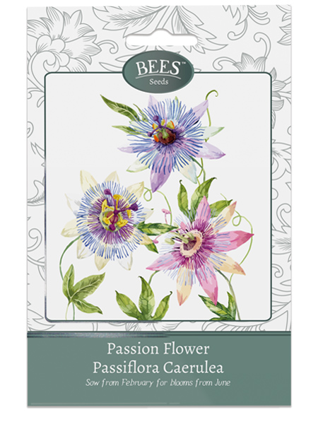 Passion Flower